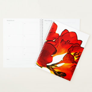 Freesia Planer