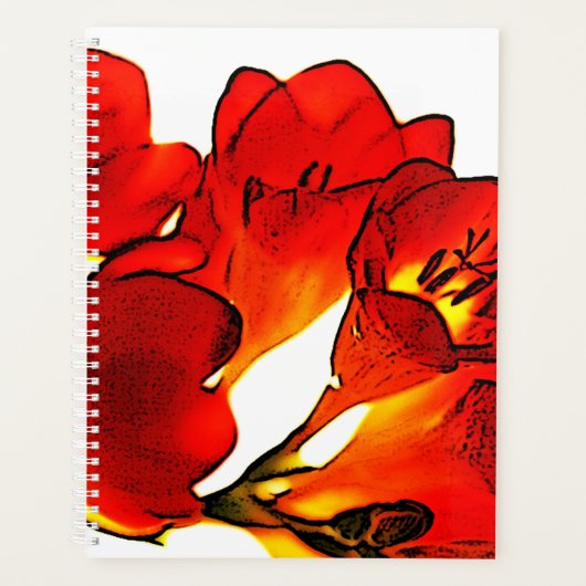 Freesia Planer (Vorderseite)