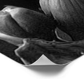 Freesia Poster (Ecke)