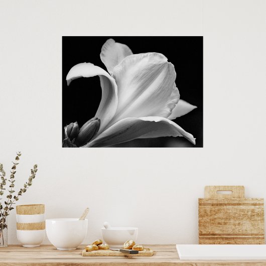Freesia Poster (Küche)