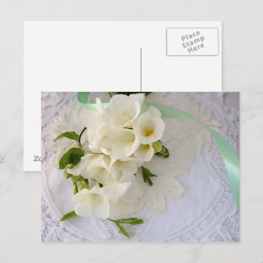 Freesias auf Postkarte (Vorne/Hinten)