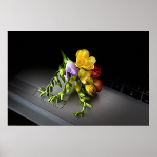 Freesias im Rampenlicht Poster