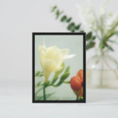 Freesias | postkarte (Stehend Vorderseite)