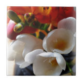 Freesiebuch Fliese (Vorderseite)