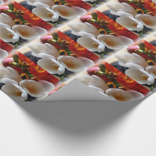 Freesiebuch Geschenkpapier (Ecke)