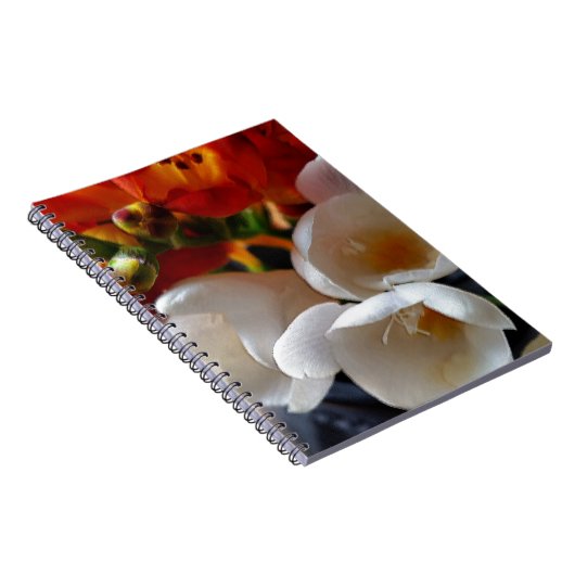 Freesiebuch Notizblock (Rechte Seite)