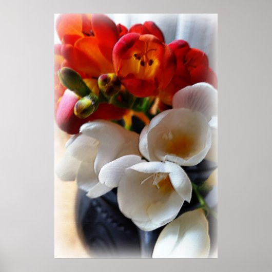 Freesiebuch Poster (Vorne)