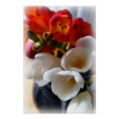 Freesiebuch Poster (Vorderseite)