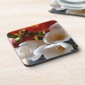 Freesiebuch Untersetzer (Linke Seite)