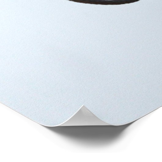 Freestyle Motocross Poster (Ecke)