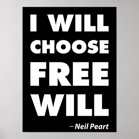 Freewill Poster (Vorne)