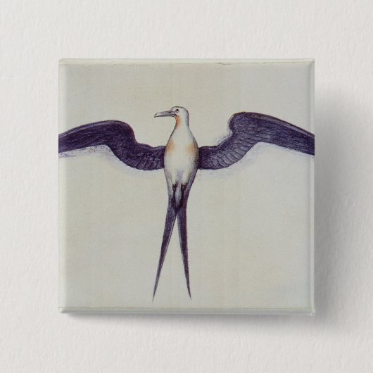 Fregatte-Vogel Button (Vorderseite)