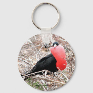 Fregatte-Vogel (Fragata) in fügender Anzeige Schlüsselanhänger