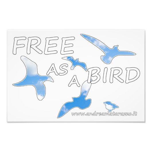 Frei als Vogel Fotodruck (Vorne)