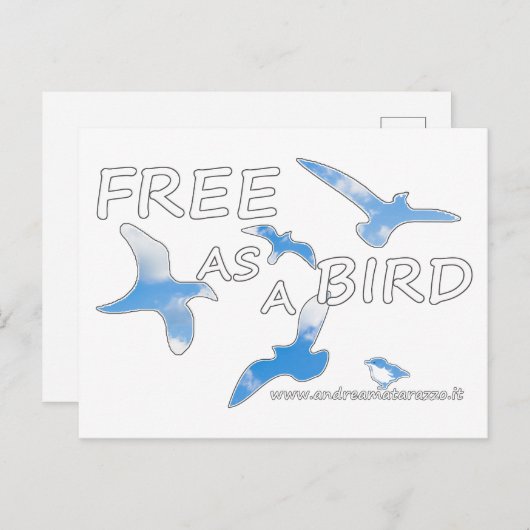 Frei als Vogel Postkarte (Vorne/Hinten)