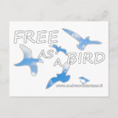 Frei als Vogel Postkarte (Vorderseite)