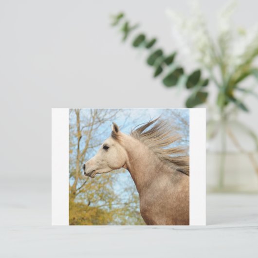 frei fließen postkarte (Stehend Vorderseite)