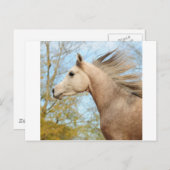 frei fließen postkarte (Vorne/Hinten)