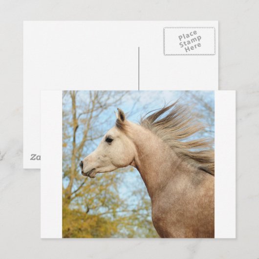 frei fließen postkarte (Vorne/Hinten)