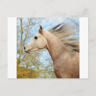 frei fließen postkarte