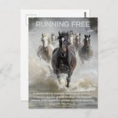 frei laufen postkarte (Vorne/Hinten)