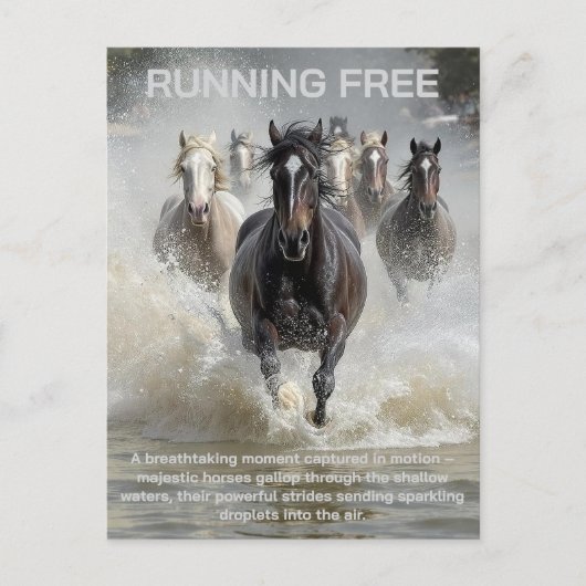 frei laufen postkarte (Vorderseite)