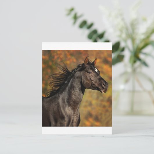 frei laufen postkarte (Stehend Vorderseite)