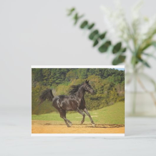 frei laufen postkarte (Stehend Vorderseite)