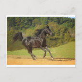 frei laufen postkarte (Vorderseite)