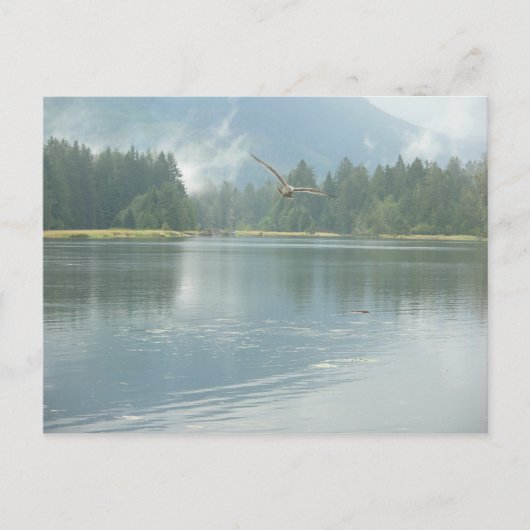 frei postkarte (Vorderseite)