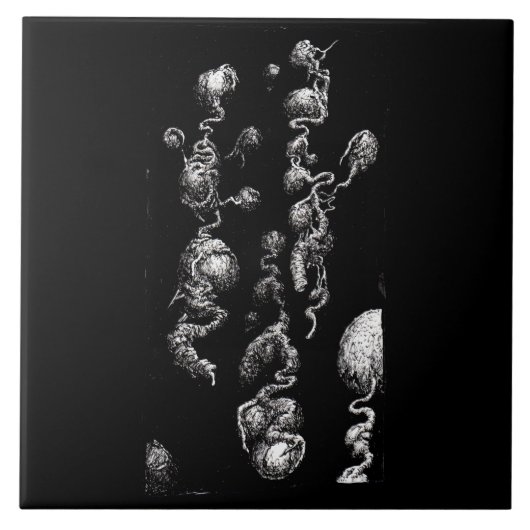 Frei schwimmende Bio Aberrationen Fliese (Vorderseite)