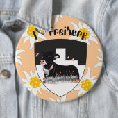Freiburg / Fribourg Schweiz Suisse Buttons (Beispiel)