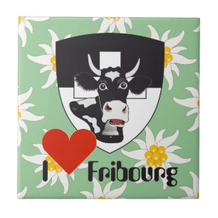 Freiburg Fribourg Schweiz Suisse Fliese