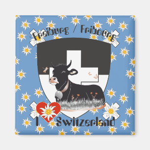 Freiburg Fribourg Schweiz Suisse Magnete Magnet