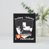 Freiburg / Fribourg Schweiz Suisse Postkarte (Stehend Vorderseite)