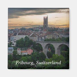 Freiburg Schweiz Foto Magnet