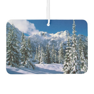 Freiburger-Alpenschnee Autolufterfrischer