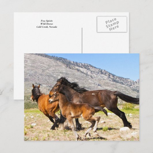 Freie Geister Postkarte (Vorne/Hinten)