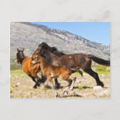 Freie Geister Postkarte (Vorderseite)