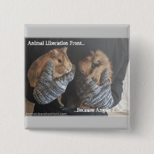 Freie Meerschweinchen Button (Vorderseite)