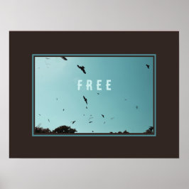 Freie Vögel am Himmel Poster