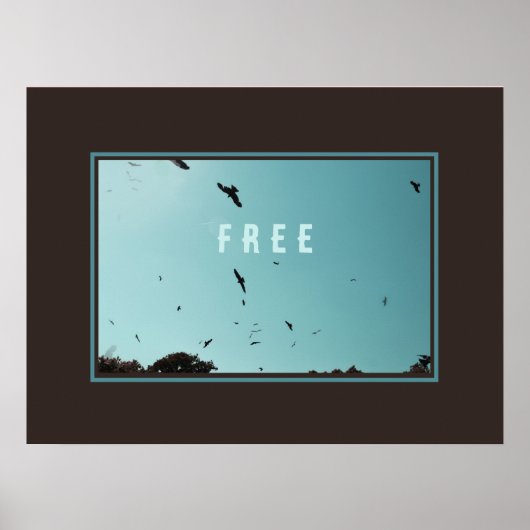 Freie Vögel am Himmel Poster (Vorne)
