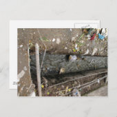 Freier Abwasserabfluss Postkarte (Vorne/Hinten)