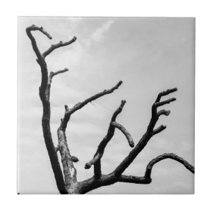 freier Baum Fliese