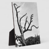 freier Baum Fotoplatte (Seite)