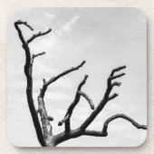 freier Baum Getränkeuntersetzer (Vorderseite)