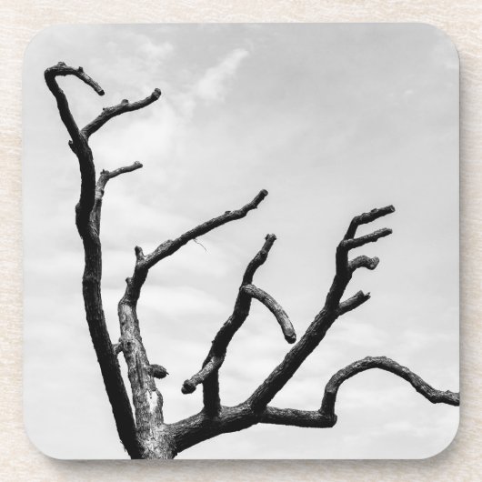 freier Baum Getränkeuntersetzer (Vorderseite)