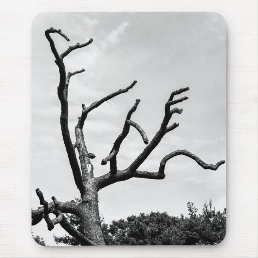 freier Baum Mousepad (Vorne)