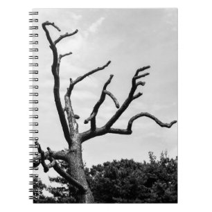 freier Baum Notizblock