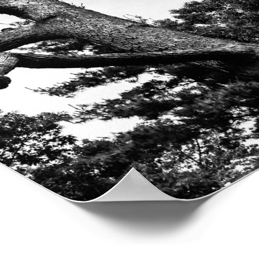 freier Baum Poster (Ecke)